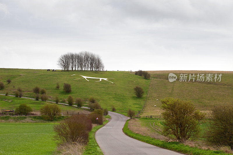 英国威尔郡的Hackpen White Horse Hill Figure